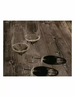 Riedel Performance Riesling Wine Glass 5 Riedel Performance Riesling Wine Glass -Dining Shop 614463670 3 1 720x928