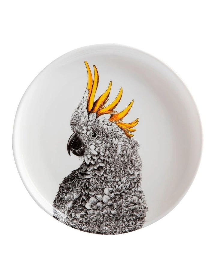 Maxwell & Williams Marini Ferlazzo Birds Cockatoo 20cm Gift Boxed Plate 1 Maxwell & Williams Marini Ferlazzo Birds Cockatoo 20cm Gift Boxed Plate