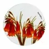 Maxwell & Williams Royal Botanic Garden Bells 9.5cm Ceramic Round Coaster