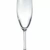 Salt&Pepper Vino Vino Set of 8 175ml Champagne Flute