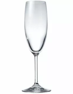 Salt&Pepper Vino Vino Set of 8 175ml Champagne Flute