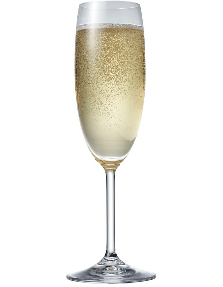 Salt&Pepper Vino Vino Set of 8 175ml Champagne Flute 2 Salt&Pepper Vino Vino Set of 8 175ml Champagne Flute - Image 2