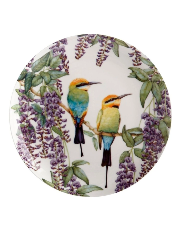 Maxwell & Williams Gardens Victoria Garden Friends 20cm Rainbow Bee-Eater Plate Gift Boxed White 1 Maxwell & Williams Gardens Victoria Garden Friends 20cm Rainbow Bee-Eater Plate Gift Boxed White