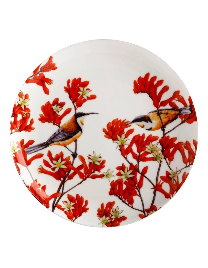 Maxwell & Williams Gardens Victoria Garden Friends 20cm Spinebill Plate Gift Boxed White 1 Maxwell & Williams Gardens Victoria Garden Friends 20cm Spinebill Plate Gift Boxed White