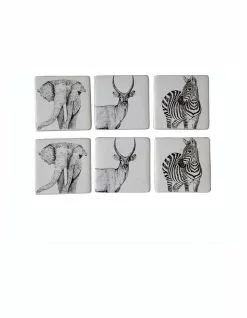 Koala Living Savannah Coaster Set of 6 - Dolomite