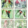Cinnamon Australian Parrots set of 6 Placemats