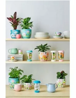 Maxwell & Williams Tint Mini Snug Mug 120ML Jade -Dining Shop 850098700 3 720x928